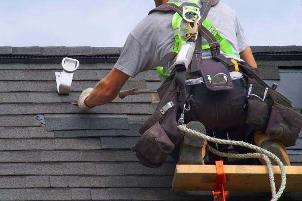 Best Roof Gutter Cleaning  in Valley, NE
